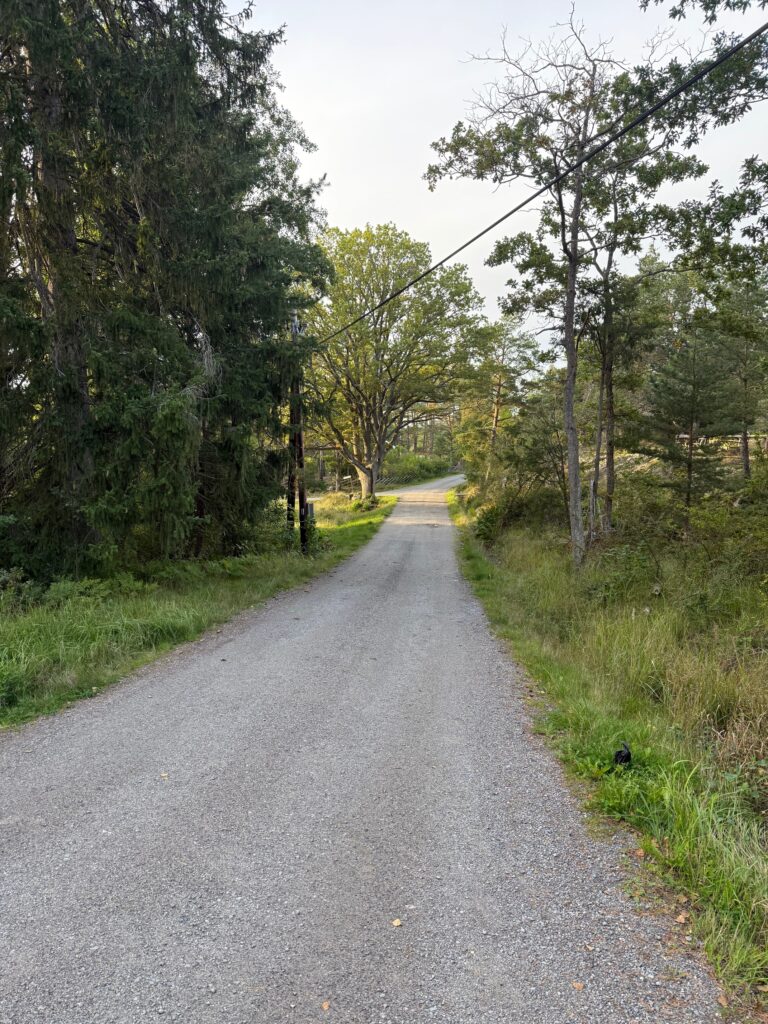 vägar
